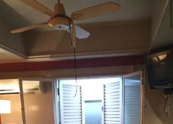 Esta es la imagen en que se basan los investigadores